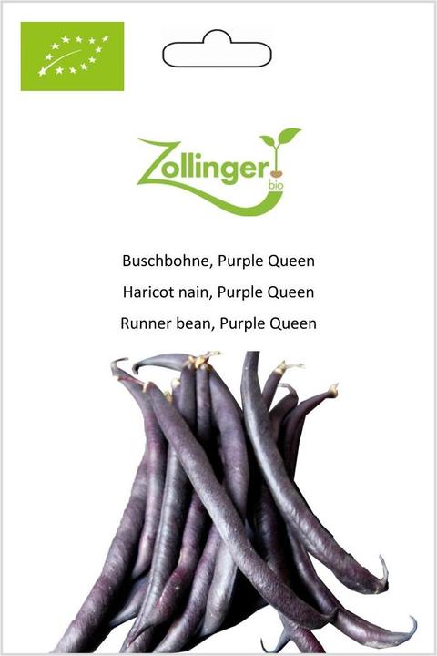 Immagine prodotto Zollinger Bio Fagiolo a cespuglio, Purple Queen