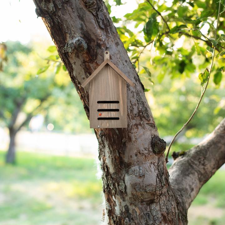 Actual product image Relaxdays Ladybird house (Ladybirds)