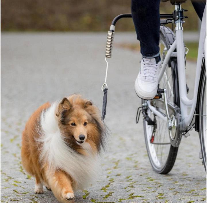 Actual product image Trixie Biker set (Dog, Reflectors)