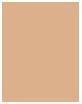 Produktbild Clinique Even Better Clinical Serum Foundation (WN 38 Stone (Vf))