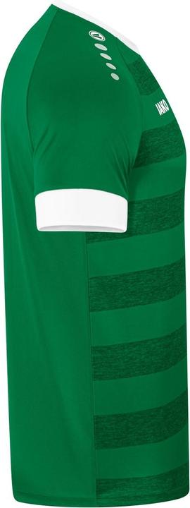 Image du produit JAKO Maillot Celtic Melange KA (M)