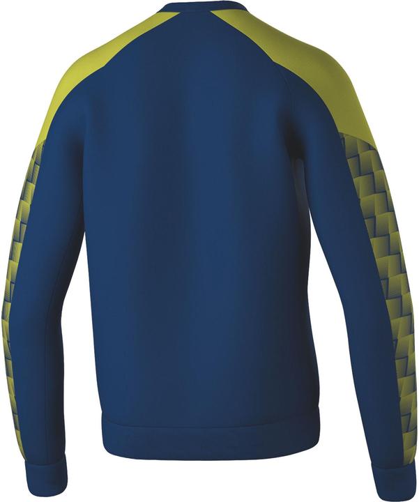 Image du produit Erima Sweat-shirt Evo Star (M)