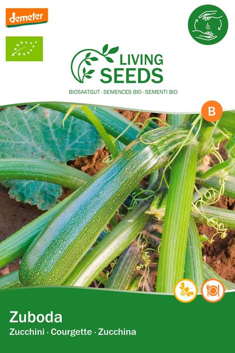 Actual product image Living Seeds Zucchini, Zuboda (Vegetable seeds)