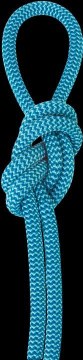 Actual product image Salewa Double (50 m)