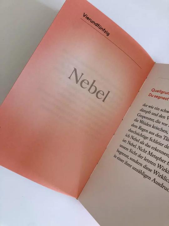Image du produit Die Kraft des Staunens (Allemand, David Steindl-Rast, 2022)