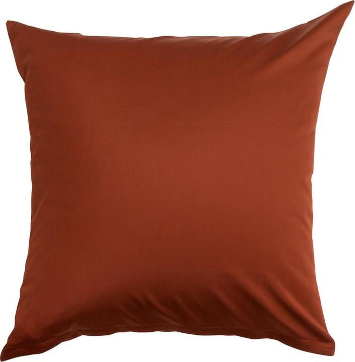 Actual product image Johann Jakob Satina (Pillowcase, 50 x 70 cm)