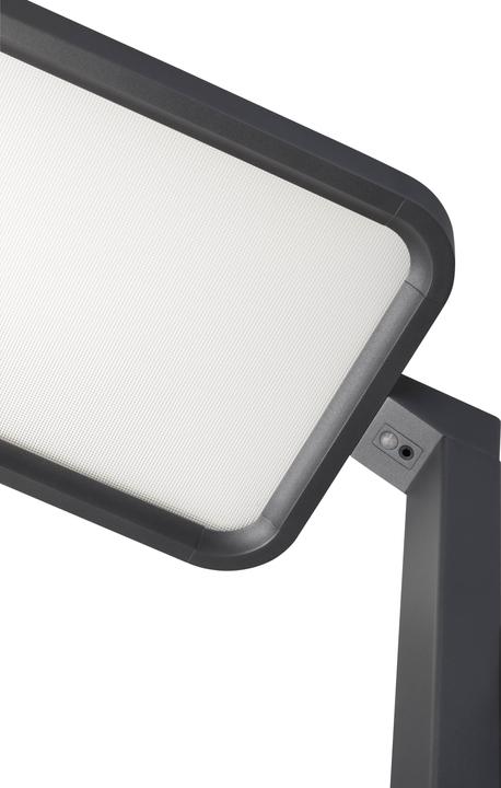 Produktbild Hansa Stehleuchte Saphir LED Anthrazit (7500 lm)