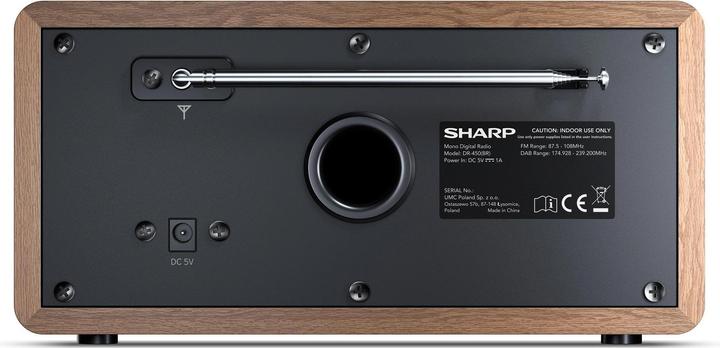 Productafbeelding Sharp DR-450 (FM, DAB+, Bluetooth)