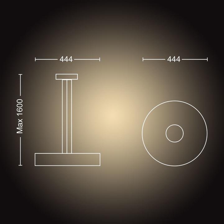 Actual product image Philips Hue Fair Basis BT (3000 lm)