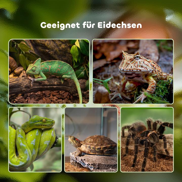 Produktbild PawHut Terrarium
