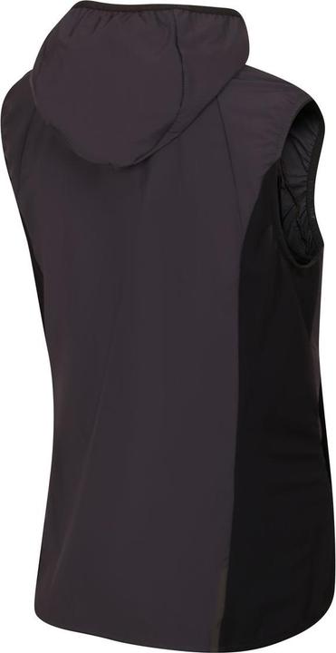 Immagine prodotto Directalpine Element Lady 1.0, Weste, Damen (Athletic Fit) - Direct Alpine, 300 (M)