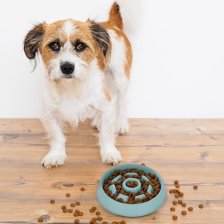 Actual product image Relaxdays Anti-snagging bowl (0.55 l)
