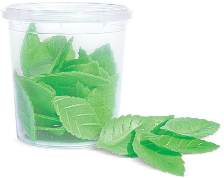 ScrapCooking Grüne Blätter (24 x)