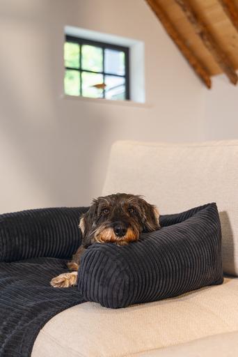 Produktbild Designed by Lotte Ribbed (Hund)