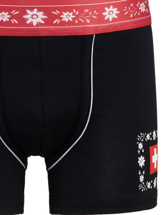 Image du produit ISA Bodywear Panty (146, Une unité par pack)