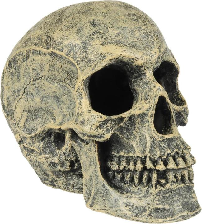 EBI Aqua Della Skull Head (sonstige Gegenstände)