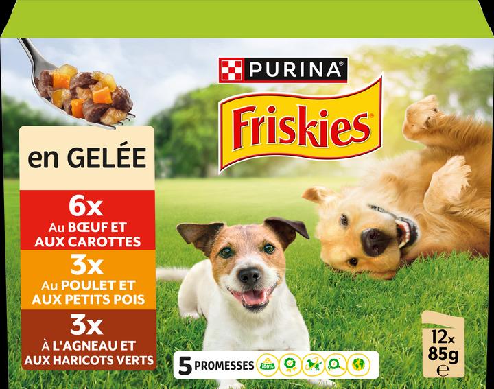 Image du produit Friskies En gelée (Adulte, 12 pcs, 1160 g)
