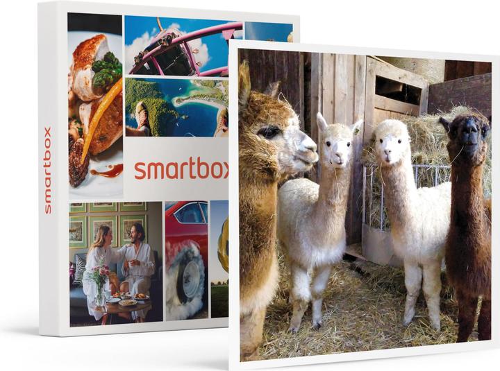 Actual product image Smartbox Excursion familiale passionnante dans une ferme près de Stuttgart (4 pers.)