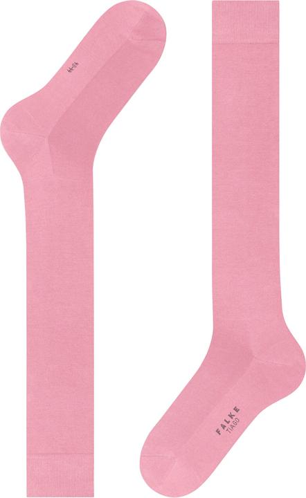 Actual product image Falke Tiago KH (43 - 44)
