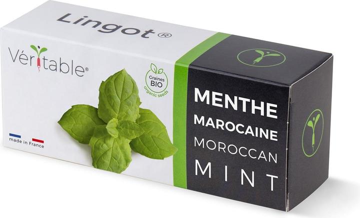 Image du produit Véritable Menthe marocaine (Graines de plantes)