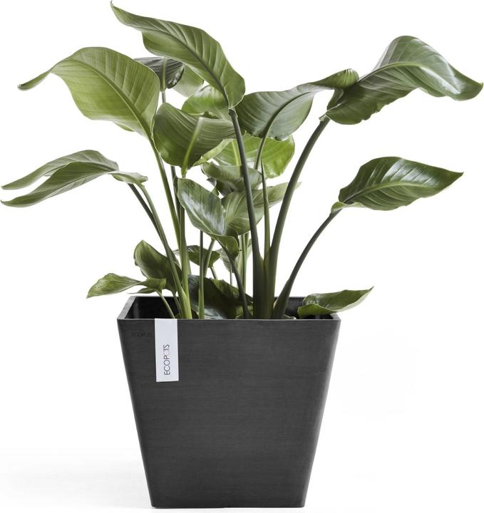 Image du produit Ecopots Rotterdam (40 cm)