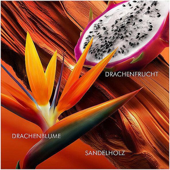 Image du produit Escada Bali Paradise (Eau de toilette, 50 ml)