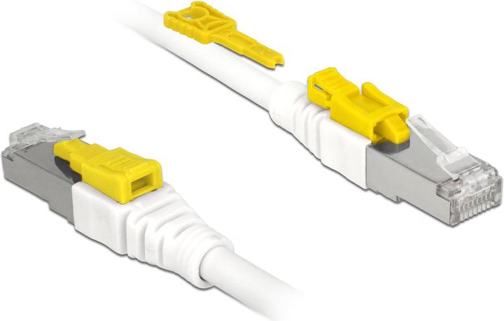 Immagine prodotto Delock Cavo patch: S/STP, 1m, bianco (S/STP, CAT6a, 1 m)