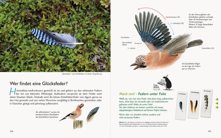 Actual product image Wawra's Naturbuch, Band 1: Säugetiere, Vögel, Reptilien, Amphibien (German, Johannes Wawra, Ursula Wawra, 2020)