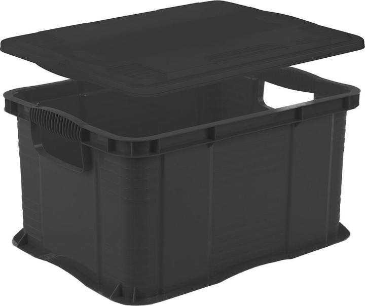 Immagine prodotto Rotho Agilo (40 x 30 x 22 cm)