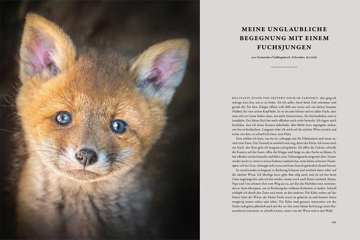 Produktbild Kosmos Moments in Nature (Deutsch, Una López, Gamander López, 2024)