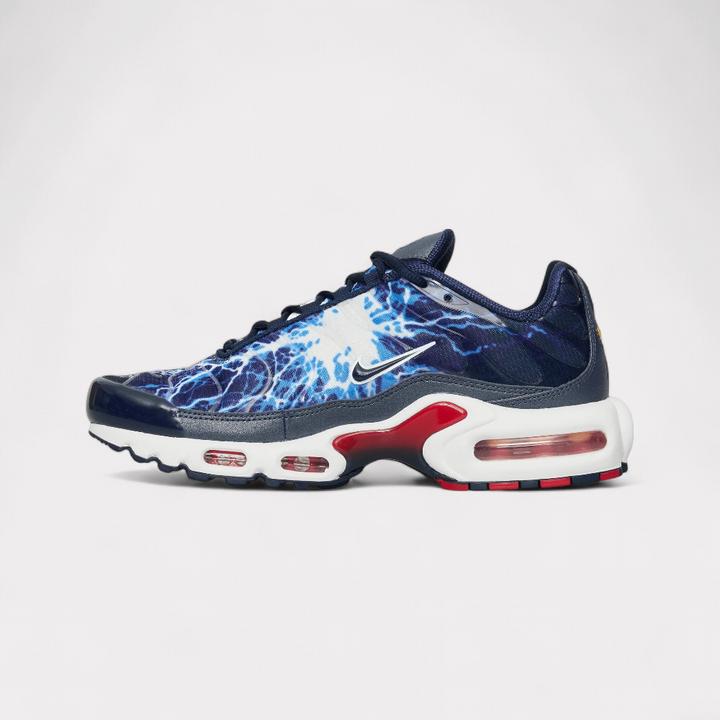 Image du produit Nike Air Max Plus (44.5)