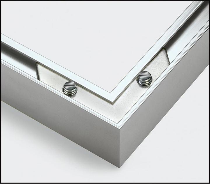Actual product image Noris Aluminum frame