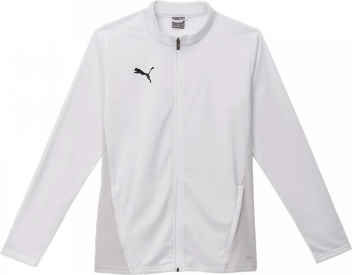 Actual product image Puma teamGOAL Training Jacket (S)