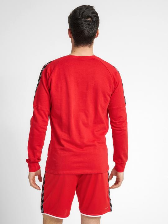 Image du produit hummel Sweat D'Entraînement Authentique (XL)