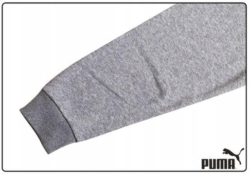 Actual product image Puma ESS Big Logo Crew (M)