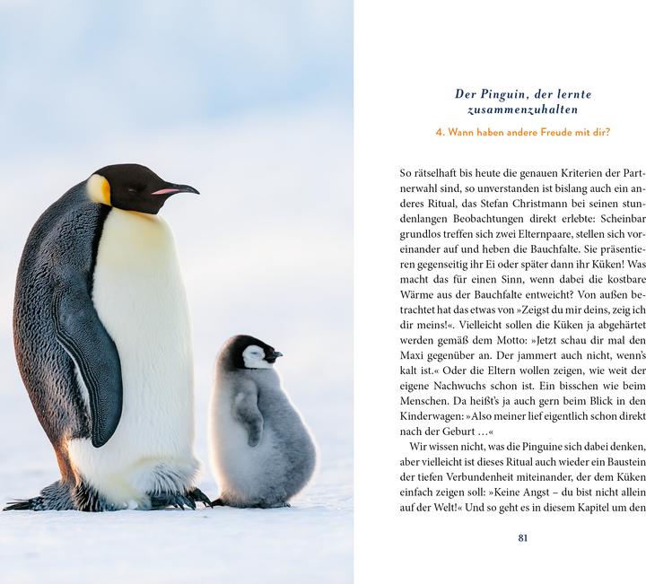 Produktbild Der Pinguin, der fliegen lernte (Deutsch, Eckart von Hirschhausen, 2025)