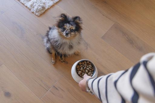 Actual product image Designed by Lotte Dog bowl Meis (0.16 l)