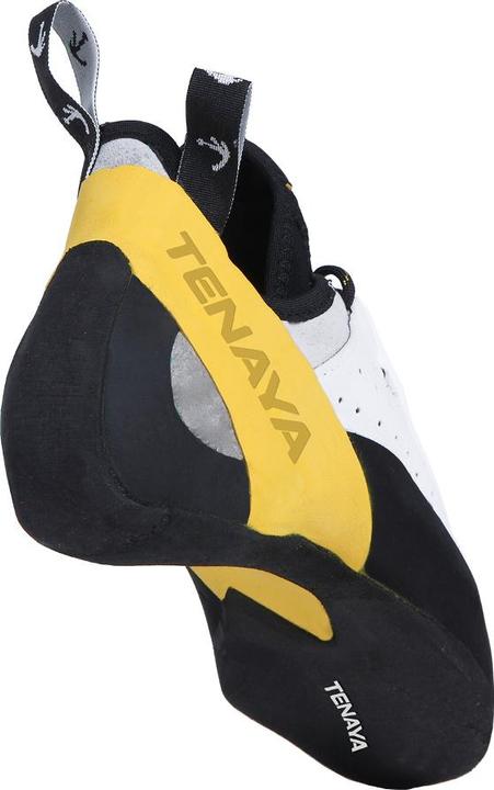 Actual product image Tenaya Tarifa climbing shoes (47.5)