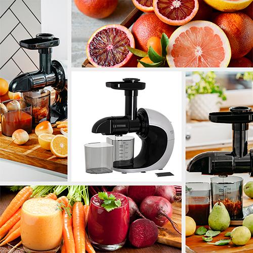 Actual product image Adler AD 4130 Slow Juicer, Stainless Steel/Black (EU plug)