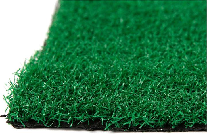 Actual product image Van Manen Veenendaal Farm artificial grass mat (70 x 50 cm)