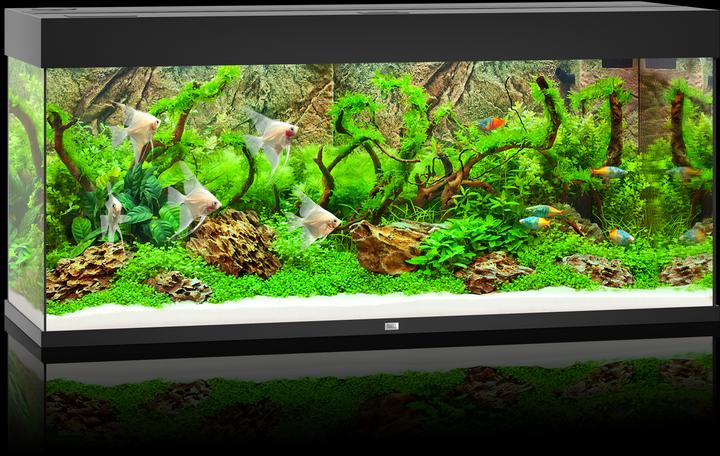 Actual product image Juwel Aquarium Rio (240 l)