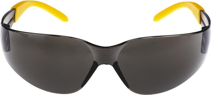 Image du produit DeWalt PROTECTOR Lunettes de protection Lentille grise, anti-rayures avec protection UV
