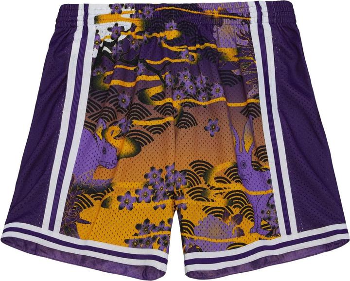 Mitchell & Ness M&N NBA ASIAN Swingman 5.0 Los Angeles Lakers Shorts - M (M)