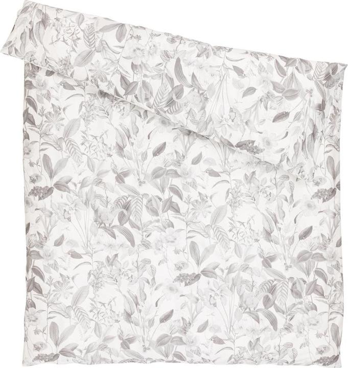 Image du produit Geras (Housse de couette, 240 x 240 cm)