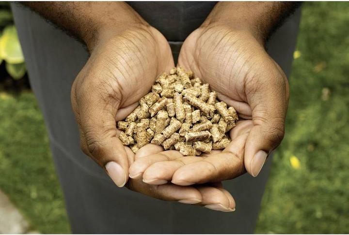 Image du produit Ninja Woodfire Pellets Robust Blend (0.91 kg)
