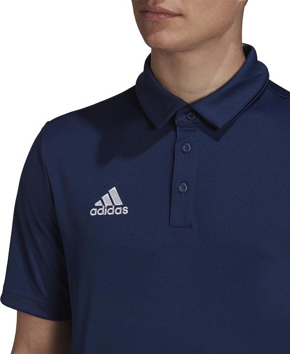 Actual product image adidas Entrada 22 polo shirt men (3XL)