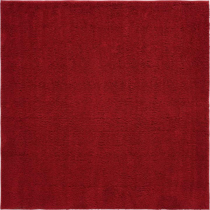 Rot