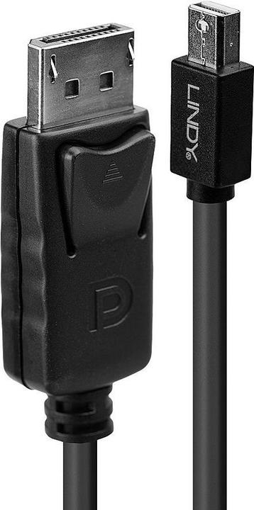 Actual product image Lindy Mini DisplayPort — DisplayPort (3 m, DisplayPort)