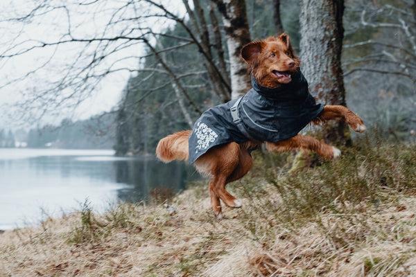 Produktbild Hurtta Monsoon Coat bilberry (40, Hundemantel)