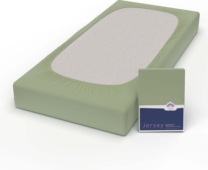 Image du produit Lotus Bettwaren Jersey Fix Comfort (160 x 200 cm)